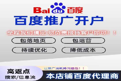 SEM推广实战：成功案例解读与策略调整